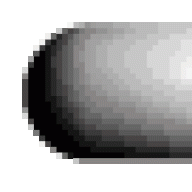 raptora12