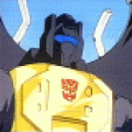 I.S.T.