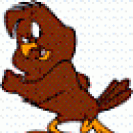 Beak