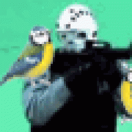 Horus