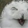 Comit