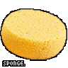 Sponge