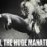 methimpikehoses
