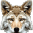 ArcCoyote