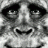 Bigfoot